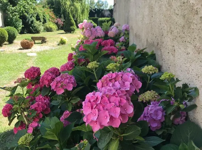 Budyne